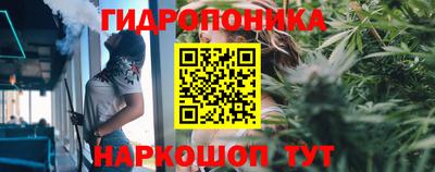 каннабис Новозыбков