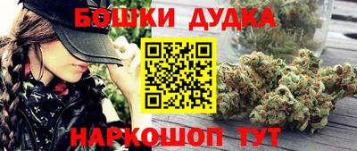 каннабис Новозыбков